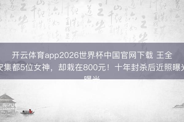 开云体育app2026世界杯中国官网下载 王全安集都5位女神，却栽在800元！十年封杀后近照曝光
