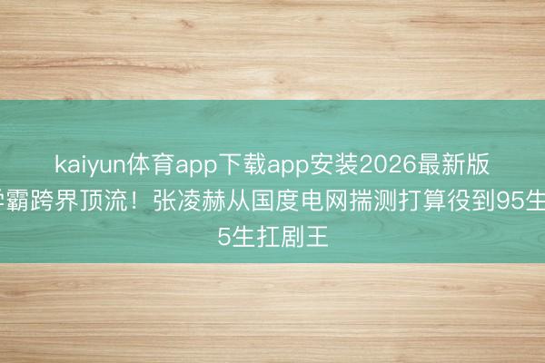 kaiyun体育app下载app安装2026最新版 理工学霸跨界顶流！张凌赫从国度电网揣测打算役到95生扛剧王