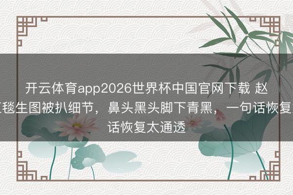 开云体育app2026世界杯中国官网下载 赵丽颖红毯生图被扒细节，鼻头黑头脚下青黑，一句话恢复太通透