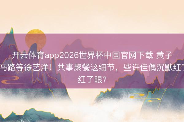 开云体育app2026世界杯中国官网下载 黄子韬蹲马路等徐艺洋！共事聚餐这细节，些许佳偶沉默红了眼？